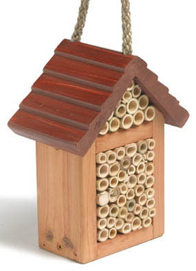 Tom Chamber Happy Bee Box