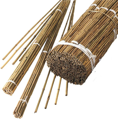 Bamboo Canes (150cm)