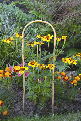 Bamboo Hoops  (60cm)
