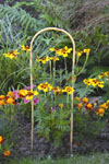 Bamboo Hoops  (60cm)
