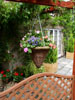 Natural Baskets