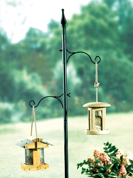Bird Stop Station