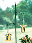 Bird Stop Station