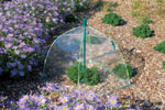 Cloche (Small spring umbrella)