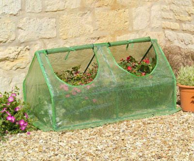Cloches (Multi)