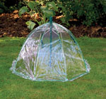 Cloche (Large spring umbrella)
