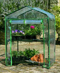 Mini Greenhouse (2 tier)