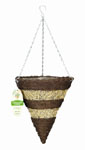Brushwood & White Ratton Cone (12
