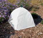 Cloche (Small winter umbrella)