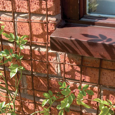 Plant and Garden Mesh (50mm)