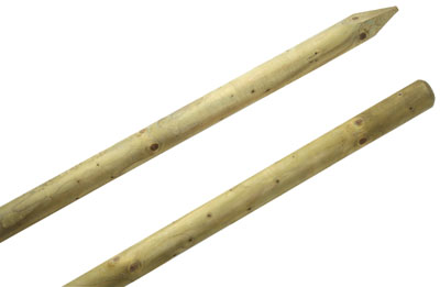 Tree Stakes (1.2m)