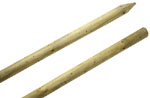 Tree Stakes (1.2m)