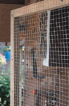 Weld Mesh Panels (6mm x 6mm)