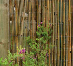 Bamboo Cane Fence 4m x 1m