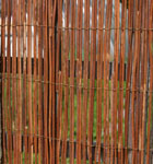 Fern Fence 4m x 1m