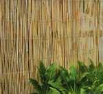 Reed Fence 4m x 1m