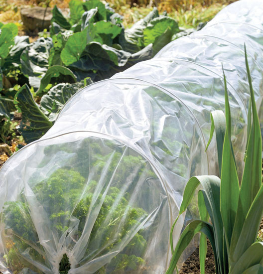 Insect Mesh Cloche Tunnel - Grow Tunnel