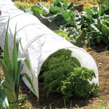 Polythene Cloche Tunnel - Grow Tunnel