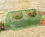 Click on IMAGE to see our Muliti Cloches