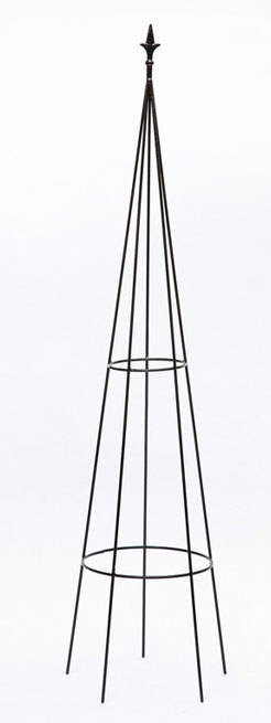 Garden Climber Obelisk Powis - OB061