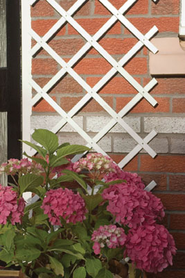 White Plastic Trellis (2m x 0.5m)