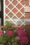 White Plastic Trellis (2m x 0.5m)