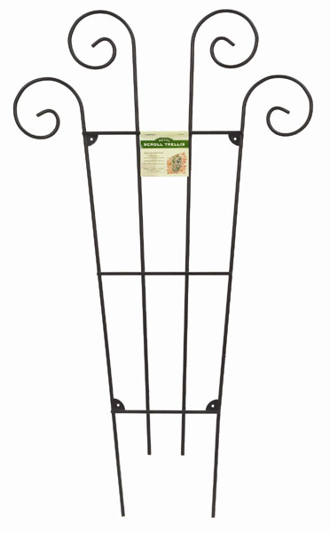 Metal RoseTrellis - Large Scrolled