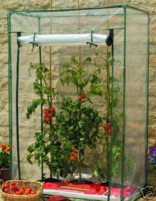 Tomato Growhouse