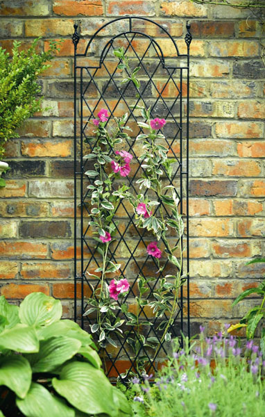 1.75m Black Metal Garden Spiral Trellis