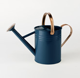 Metal Watering Can - Blue