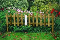 Picket Fence Lawn Edging