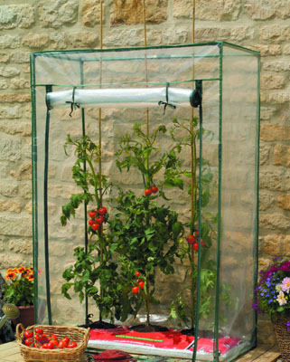 Plastic Greenhouse (growbag house)
