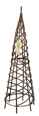 Spiral obelisk willow (1.2m)