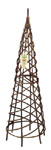 Spiral obelisk willow (1.2m)