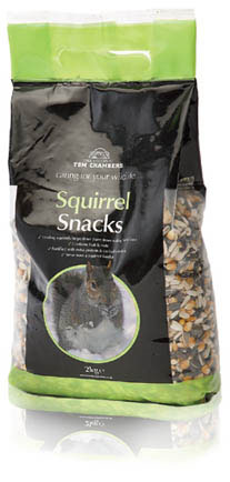 Squirrel Food
