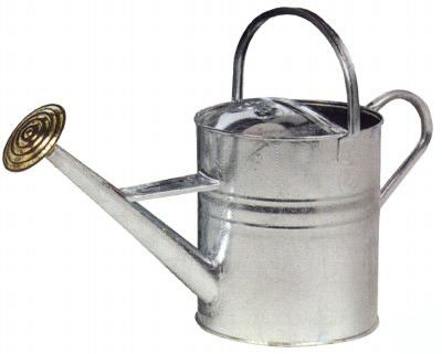 Garden Watering Can ( 3 Gallon )