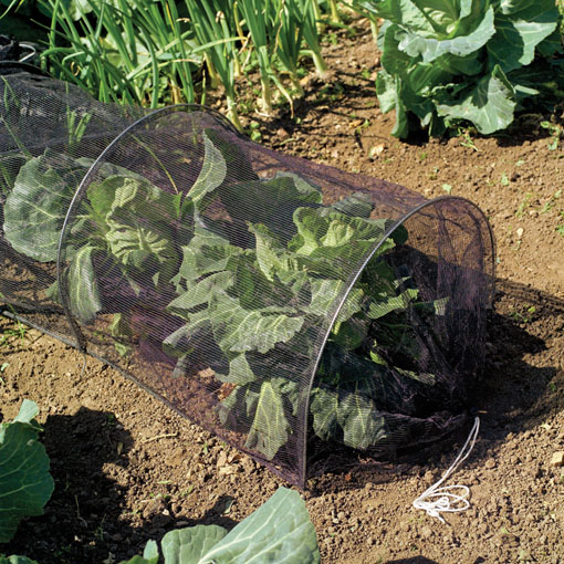 Netting Cloche Tunnel - Grow Tunnel