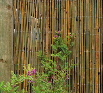 Bamboo Cane Fence 4m x 2m