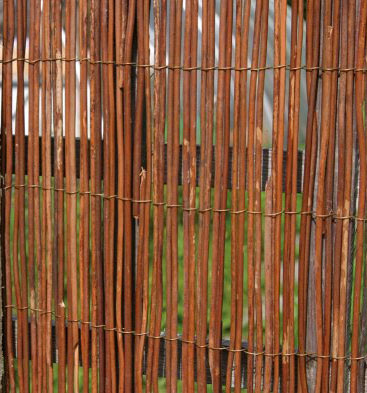 Fern Fence 4m x 1m