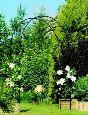 Black Metal Garden Rose Arch 