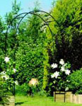 Black Metal Garden Rose Arch 