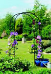 Metal Garden Rose Arch - Classic