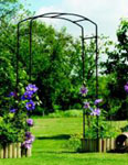 Metal Garden Rose Arch - Gallic